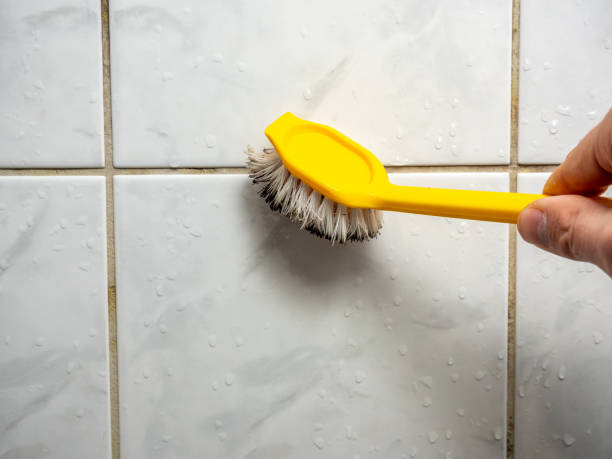 Office Mold Removal Services in Windsor, NC