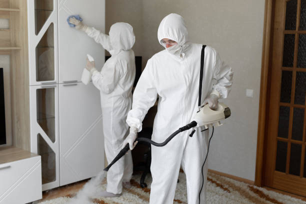 Best Mold Removal Process  in Windsor, NC